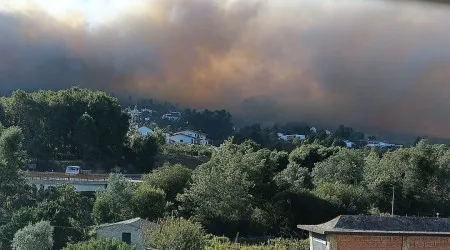 Preventiva para suspeito de atear fogo em Azeméis (um dos maiores do ano)