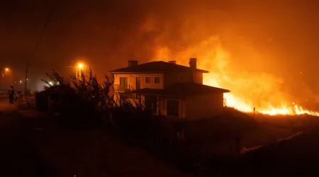 Incêndios: Zero alerta para "repetição de tragédias humanas"