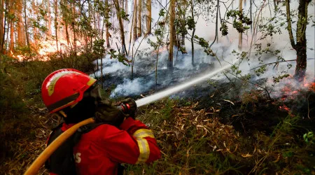 Agência para a gestão dos fogos defende melhorias na tomada de decisão