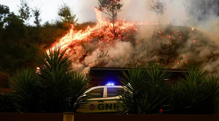 Prisão para homem que confessou ter ateado três incêndios em Sever do Vouga
