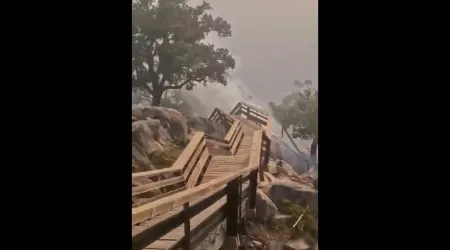 Eis as imagens aterradoras do incêndio que consome os Passadiços do Paiva