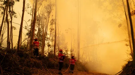 Incêndios. Cerca de 1.700 hectares ardidos em Chaves
