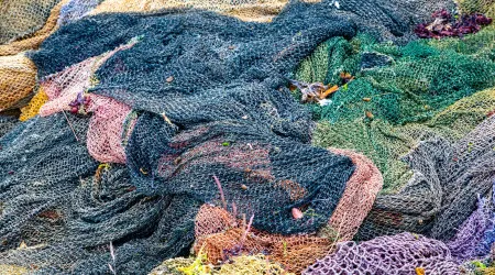 Governo define condições para atribuição de subsídio à pesca em 2025
