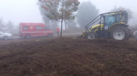 Trabalhador do ICNF morre após picada de vespa asiática em Mondim de Basto