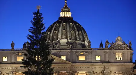 "Sacrifício". Ativistas contra abate de árvore de Natal para o Vaticano