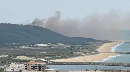 Incêndio em zona de mato na Nazaré combatido por quase 100 operacionais