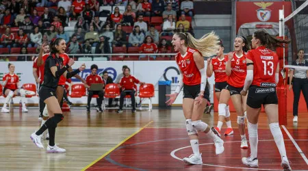 Feminino 'imita' masculino. Benfica discute título de voleibol na 'negra'
