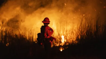Incêndios? Anadia terá vigilância móvel entre julho e setembro