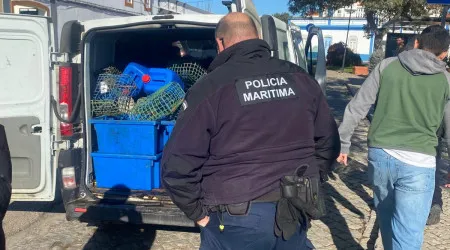 Polícia Marítima apreende 336 quilos de polvo em Tavira