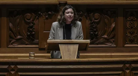 Programa do Governo é ofensivo por tentar "não ofender ninguém", diz IL