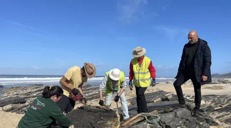 Fóssil de dinossauro com milhões de anos descoberto na Marinha Grande