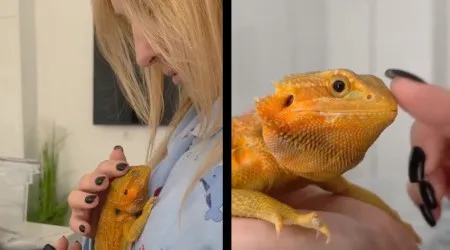 O peculiar animal de estimação de Teresa Silva... que come bichos vivos