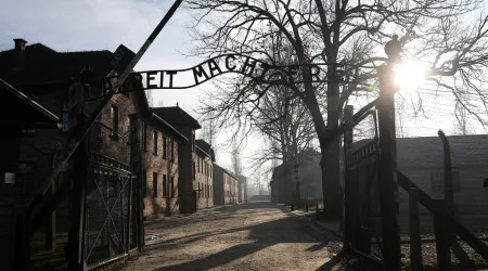 Português corre 100 dias até Auschwitz para ajudar Nepal e Médio Oriente