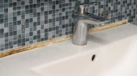 A sua casa de banho está sempre com bolor e estes são os motivos