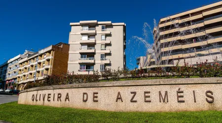 Foto de família em Azeméis revela populações novas de rododendro raro