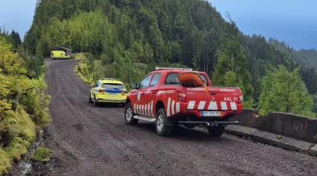 Jovem de 28 anos morre atingido por tronco nos Açores