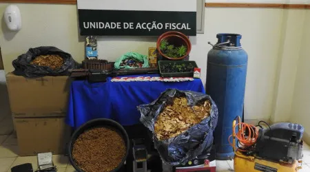 GNR desmantela fraude de 1,2 milhões com folha de tabaco em Almeirim