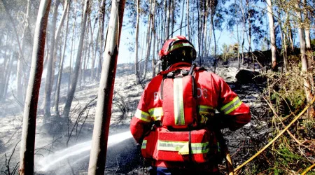 Aprovado apoio de 80 mil euros para bombeiros de Arcos de Valdevez