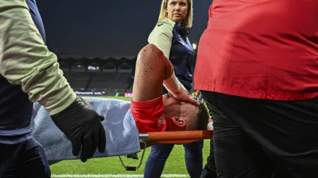 imagem do artigo