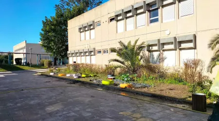 Seis pessoas intoxicadas por gases em escola na Baixa da Banheira