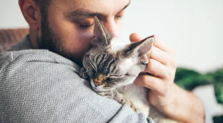 Sabia que os gatos podem trazer benefícios para a sua saúde mental?
