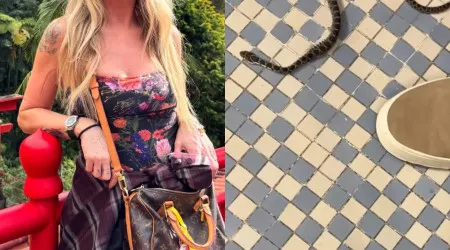 "Fui à cozinha e lá estava ela. A cobra. Daquelas que se levanta, sabem?"