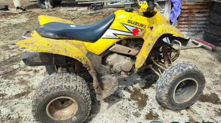 Moto 4 e cão furtados na Lourinhã encontrados em Odivelas. Homem arguido