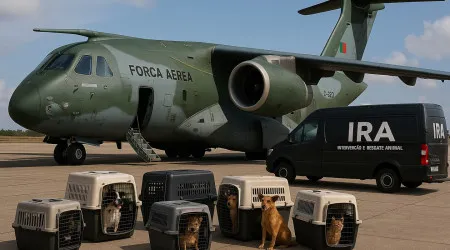 IRA e Força Aérea fazem "aliança" para levar animais a famílias adotivas