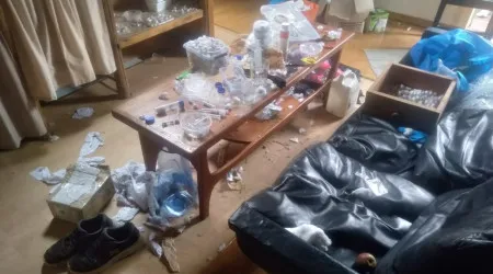 Mais de 5 mil formigas detetadas em tubos no Quénia. Seriam para tráfico