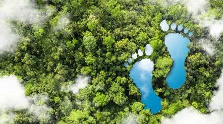 "Surpreenda-se com o resultado". Teste aqui a sua pegada de carbono