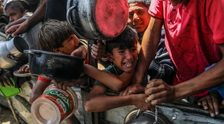 A morrer à fome. Milhares de crianças 'choram' por comida em Gaza