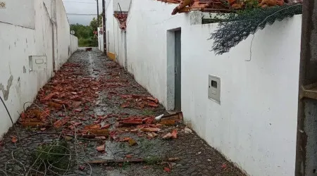 Ventos fortes acordam aldeia de Beja que arregaçou mangas para limpeza 