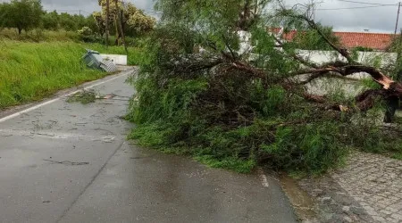 Beja e Campo Maior foram atingidos por tornados, confirma IPMA