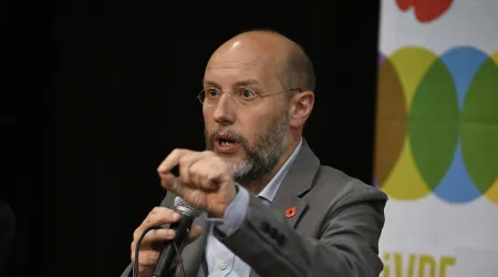 Revisão constitucional? IL "gosta de mandar gasolina para o fogo"
