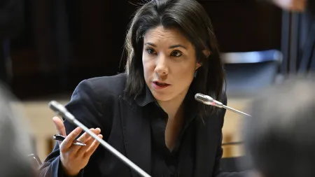 Joana Mortágua: "É imoral especular com casas enquanto há pessoas na rua"