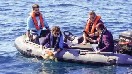 Tartaruga Vénus regressa ao mar após "meses de recuperação" no Zoomarine