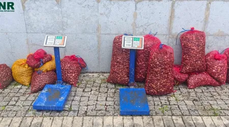 GNR apreende 275 kg de amêijoas. Um detido por conduzir carro apreendido