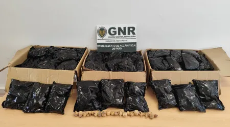 Apreendidos 23 quilos de tabaco de mascar (e 9 quilos de papoila-seca)