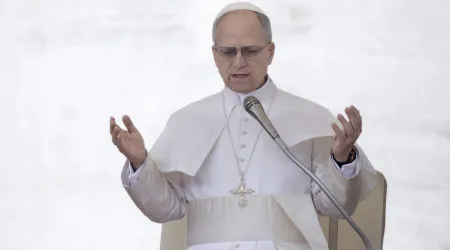 Papa abre caminho à beatificação de missionários mortos na Amazónia