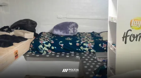 Dono de café nos Olivais cria dormitório em "arrecadação ilegal"
