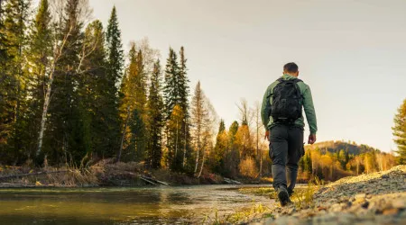 Caminhar na natureza? Eis nove benefícios (incríveis) para a sua saúde