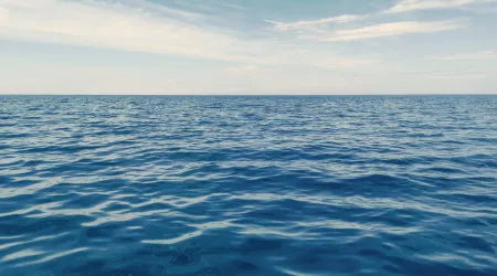Fundação Oceano Azul assina memorando para estudar o valor do planeta