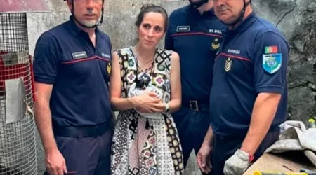 Sapadores de Braga e PSP salvam gato bebé preso dentro de tubagem. Veja