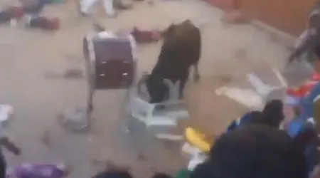 Touro foge em celebração religiosa no Peru e gera pânico. Há 30 feridos