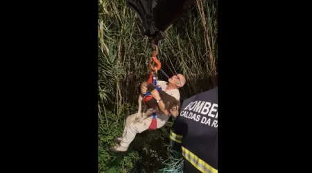 Cão resgatado de "local de difícil acesso" nas Caldas da Rainha. Há vídeo