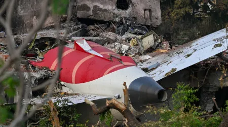 Colisão com aves pode ser "provável" causa da queda de avião na Índia