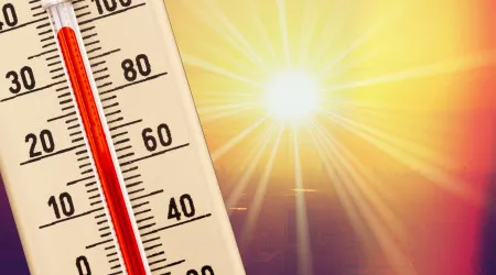 Calor veio em força? 5 dicas (amigas da carteira) para uma casa fresca