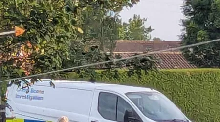 Crianças à caça de tesouro fazem descoberta inesperada. Polícia no local