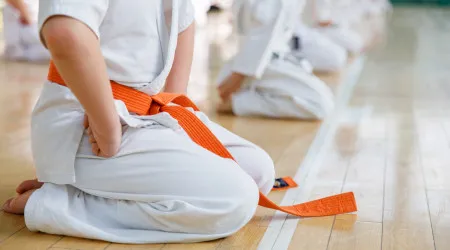 Professor de artes marciais detido no Porto por abuso sexual de menina