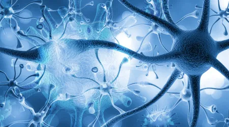Infecção por parasita comum pode prejudicar seriamente a função cerebral